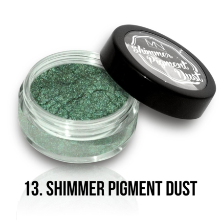Shimmer Pigment Dust – 13 – 2g