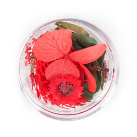 fleurs séchées