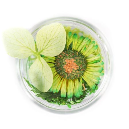 fleurs séchées